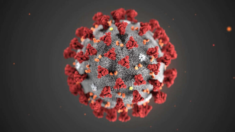 coronavirus-covid