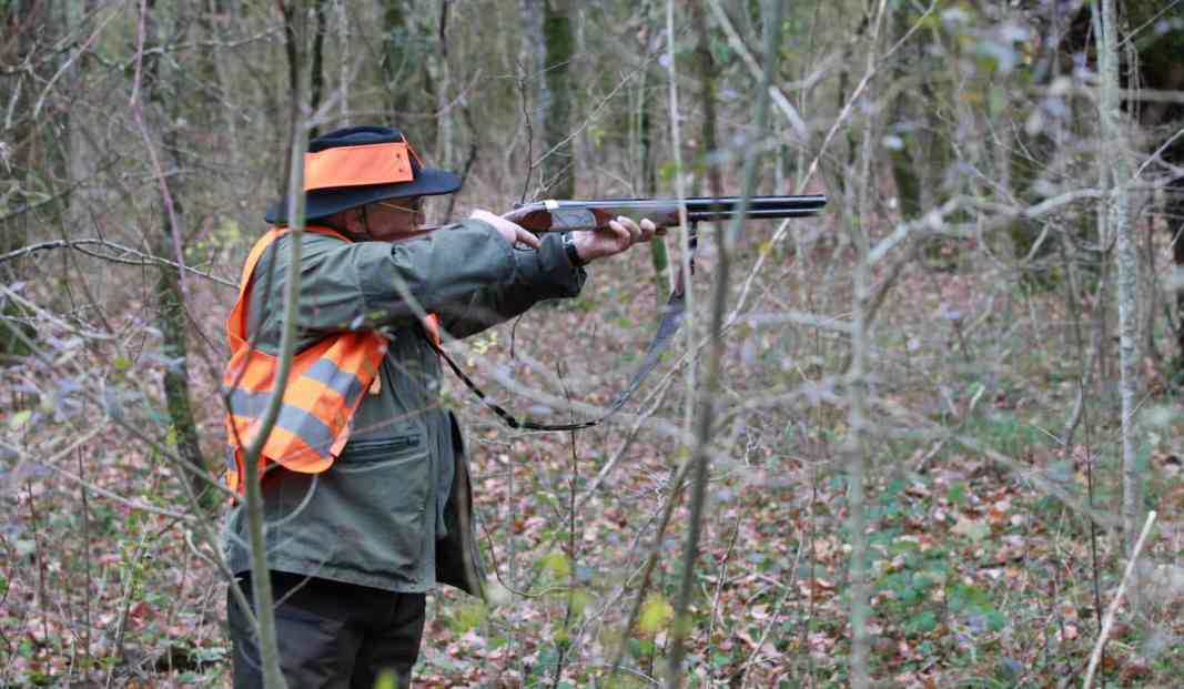 Un chasseur tué par un autre chasseur lors d'une battue aux sangliers en Dordogne