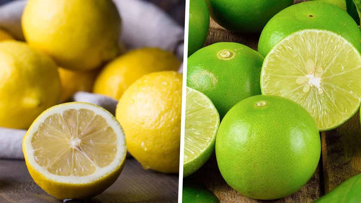 Citron vert ou jaune, quelle est la différence ? - fresh.
