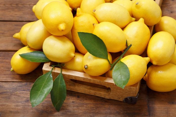 lot de citron jaune, dénommé Citron de Nice ou de Menton