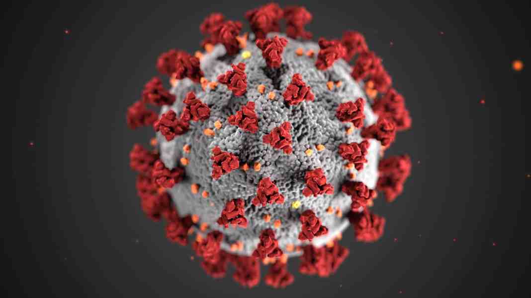 La maladie à coronavirus 2019 (COVID-19) est une maladie infectieuse due au virus SARS-CoV-2.