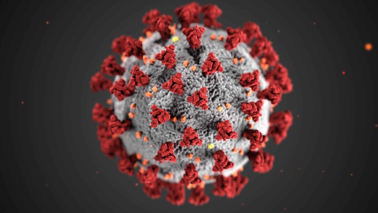 La maladie Ã  coronavirus 2019 (COVID-19) est une maladie infectieuse due au virus SARS-CoV-2.