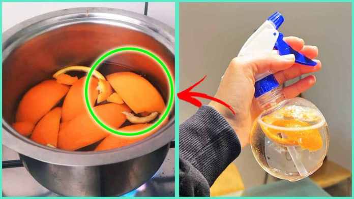 un bol contenant des peaux d'orange, et une main tenant un pulvérisateur