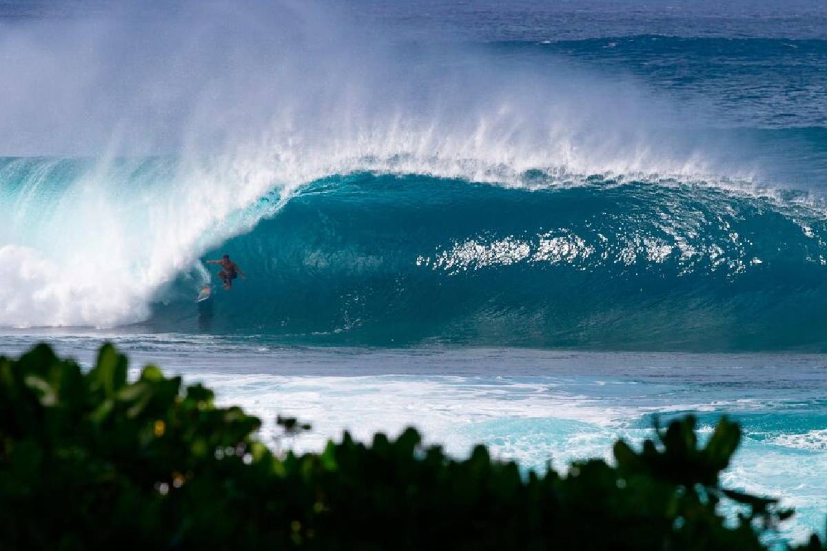 Mikala Jones, 44 ans, a trouvé la mort après s'être sectionné l'artère fémorale suite Ã  une chute lors d'une session de surf en Indonésie.