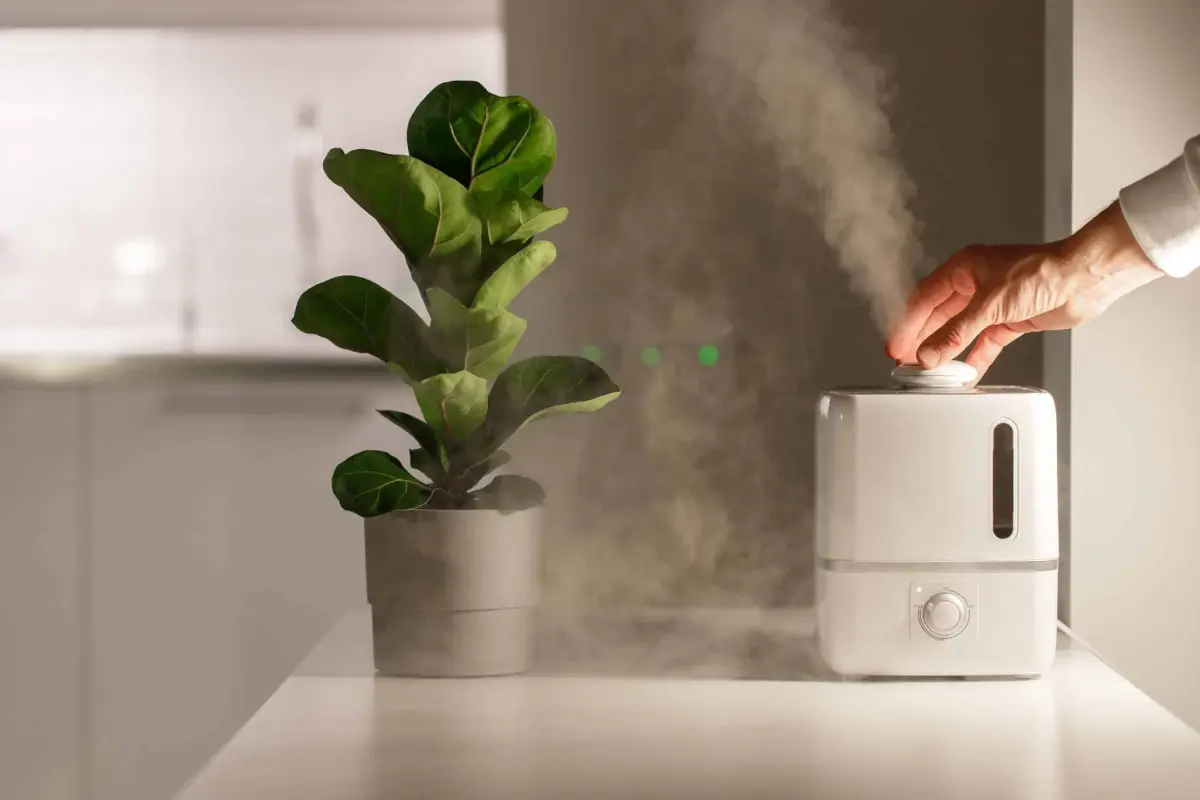 Entretien et nettoyage d'un humidificateur à vapeur chaude - air&me - Le  blog du traitement de l'air