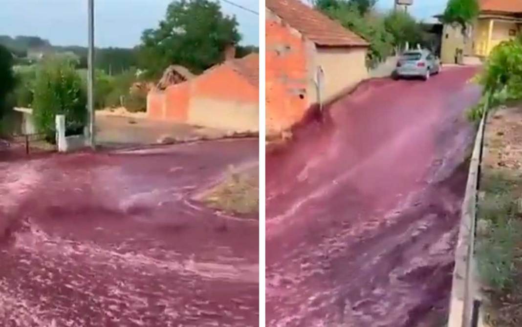 Portugal : les rues d'un village inondées de vin rouge