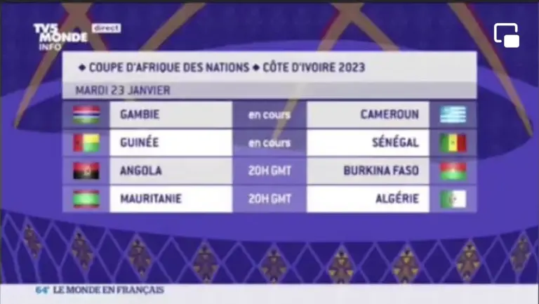 CAN 2023 : TV5 Monde remplace le drapeau du Cameroun par celui de l’Ambazonie