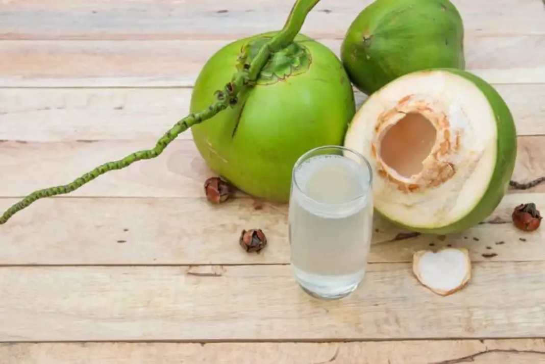 des noix de coco vertes avec un verre remplit de l'eau de coco