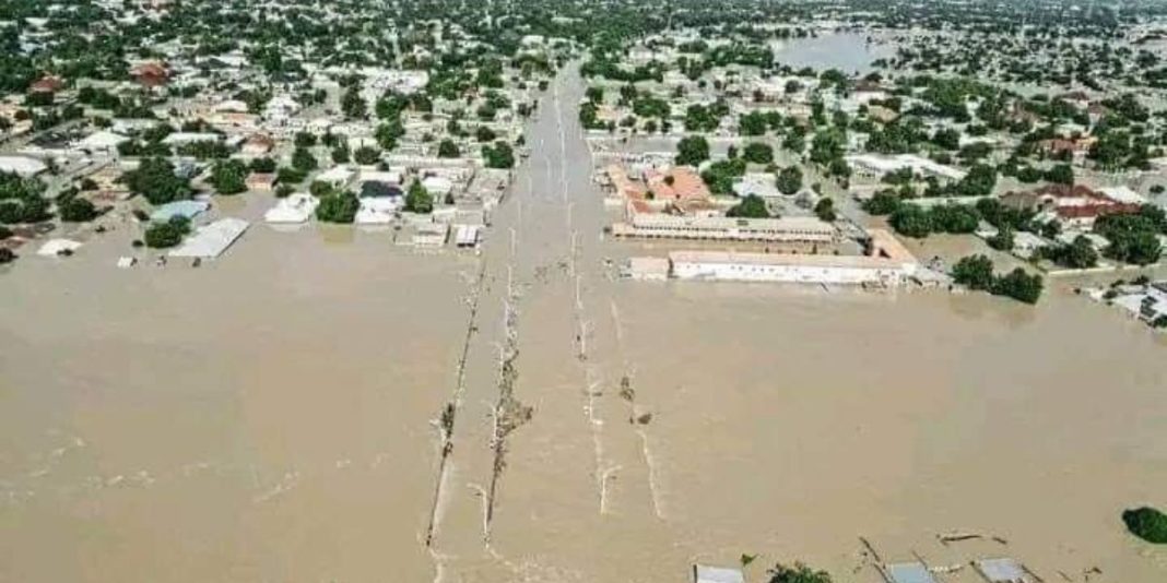 La ville de Maiduguri sous les eaux