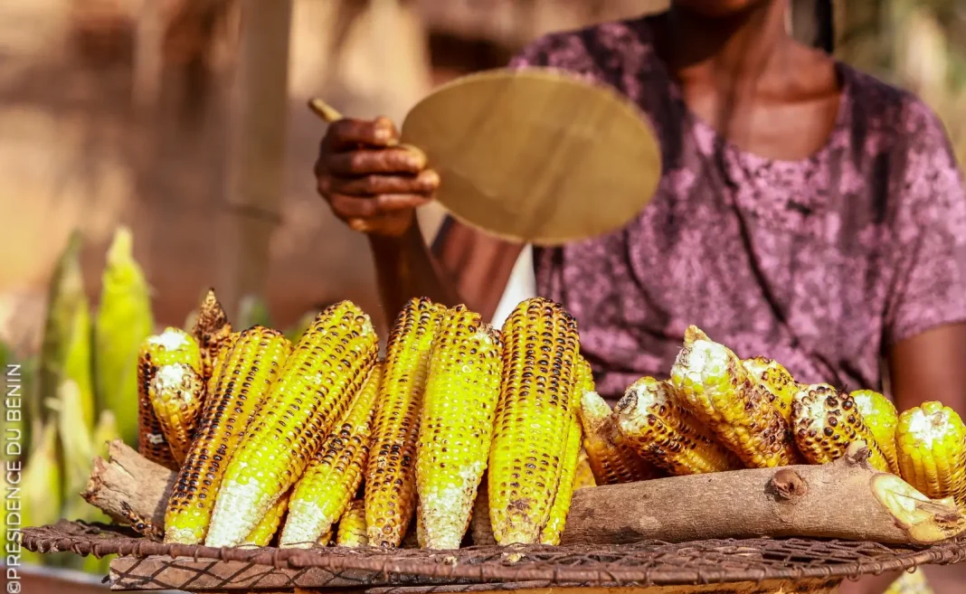 MaÃ¯s au BÃ©nin