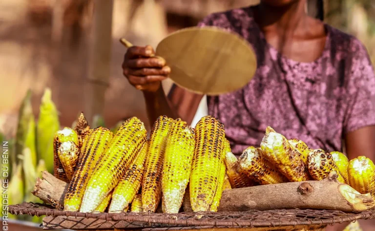 Maïs au Bénin