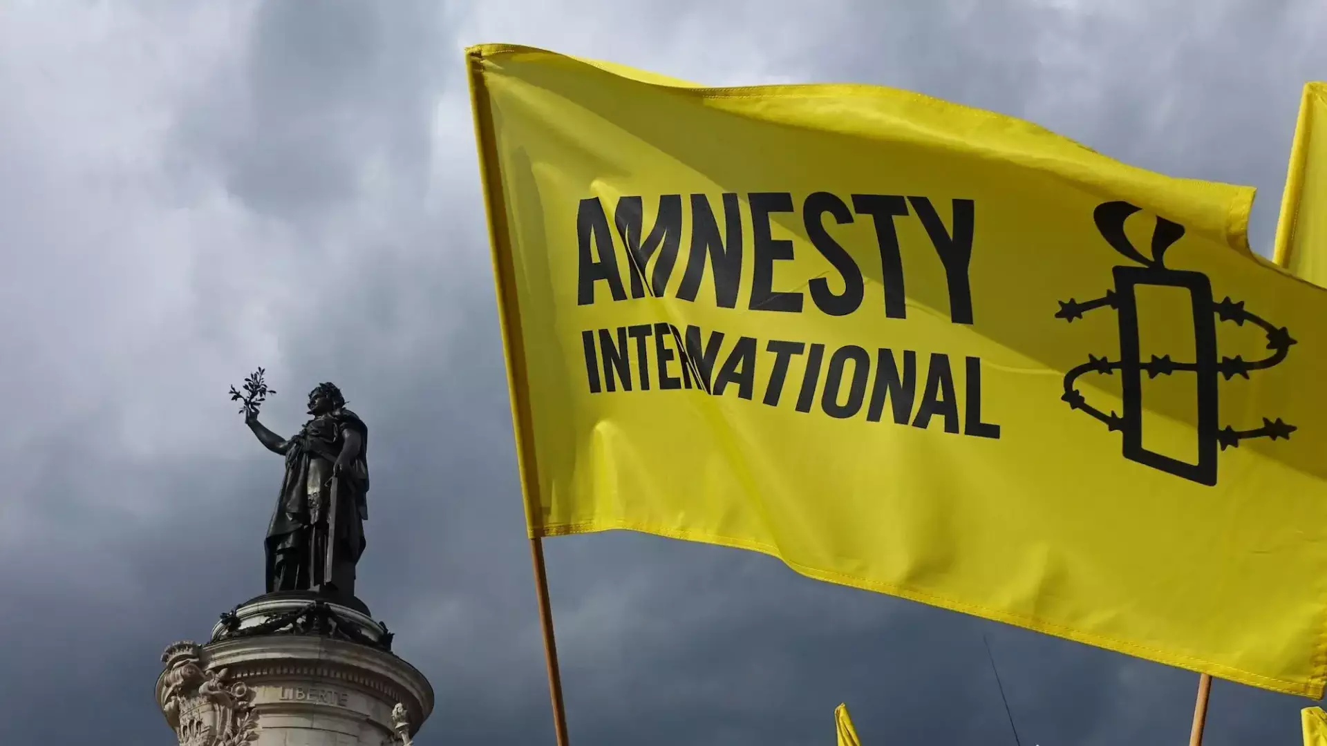 Amnesty international