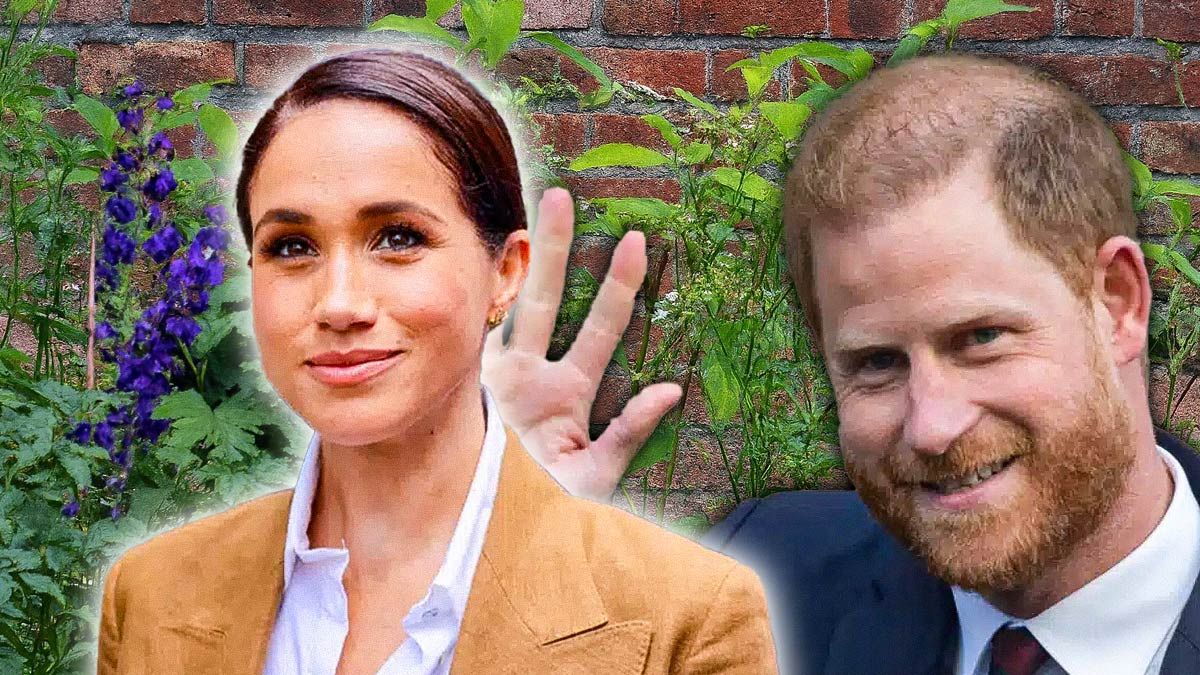 Récompensés et rebaptisés : Meghan Markle et Prince Harry héritent d’un surnom inédit