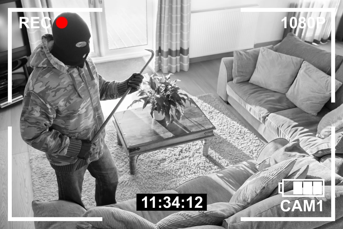 Panique chez les influenceurs, un célèbre vidéaste se fait voler son chien à son domicile