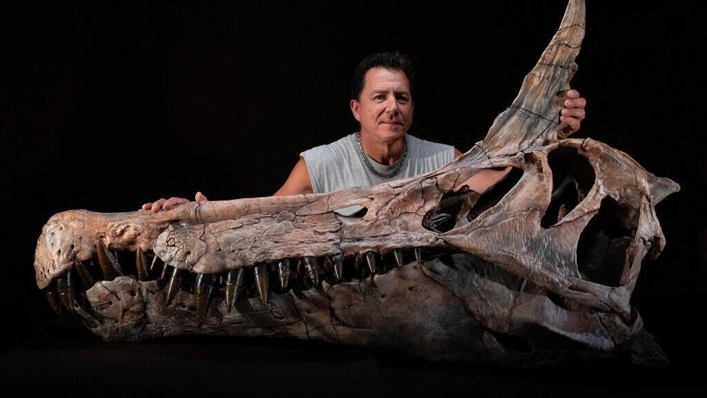 Découverte d’une nouvelle espèce de dinosaure au Niger: «C'est un moment dont on se souviendra» - Le grand invité Afrique