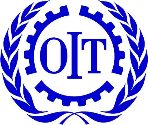 Économie numérique: L&rsquo;OIT adopte le premier traité mondial pour protéger les travailleurs des plateformes