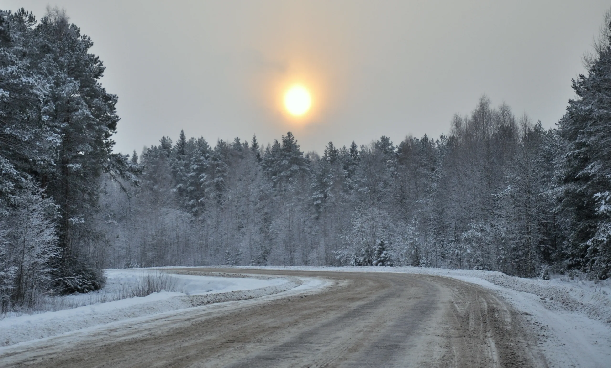 La route fédérale M8 en direction d’Arkhangelsk en Russie